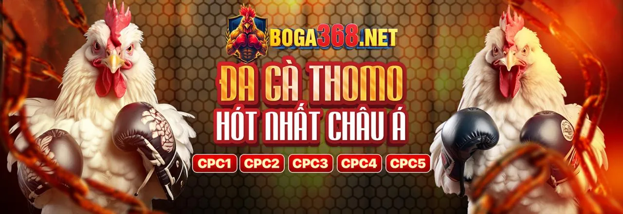 Lịch sử phát triển suwin nhà cái